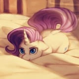 Raribed