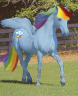Thread 42363274 OP Image
