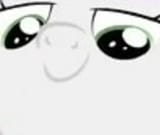 closeup of smug