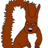 nuts