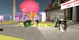Snapshot_039