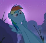 pony ass
