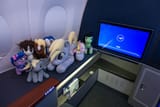 deploy mares