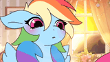 dash look