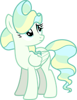 she look