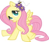 fluttershy sitting
