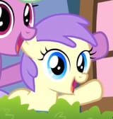 3642326