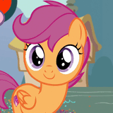scootasmile