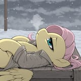 00012-2437566074