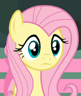 fluttershy wtf
