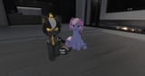 Snapshot_2025-07-18_184129_001