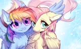 fluttershy and rainbow dash