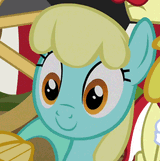 sassaflash is excited
