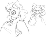 Gays