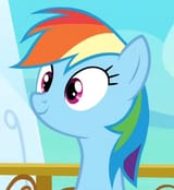 Dash is a cutie