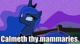 322502__safe_derpibooru+import_edit_edited+screencap_screencap_princess+luna_luna+eclipsed_calm+your+tits_eyeroll_female_fence_image+macro_solo_ye+olde