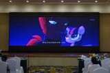 _DSC5791
