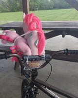 ponybasket