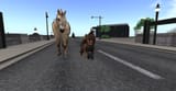 Snapshot_2025-07-20_111930_001