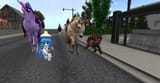 Snapshot_2025-07-20_112450_001