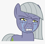 230-2305203_crying-wojak-pony-hd-png-download