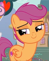 scoot