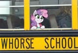 whorse school
