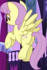 parasol&#039;s ploota