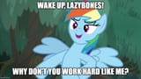 1737872240295580