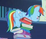 Thread 42381311 OP Image