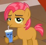 Babs_sip