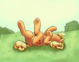 appleroll