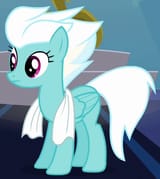 Thread 42381613 OP Image