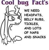 1597505089848