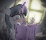 Diary