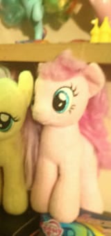 sweetshorse