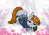 pip_1