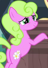 2624576