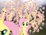 Flutterblizzard