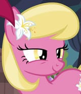 lily face
