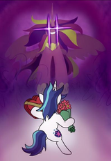 Cadence snu snu