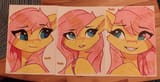 Fluttershy highlighter