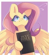 3629075