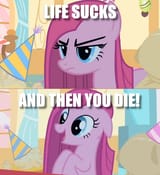 1732628217336626