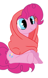 ponket2
