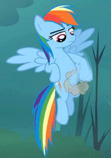Dash pat pat