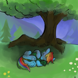 12-30-24 nap