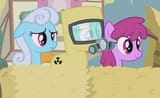 another completely normal day in ponyville