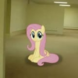 flutterrooms