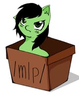 Anon box2_20250724152515